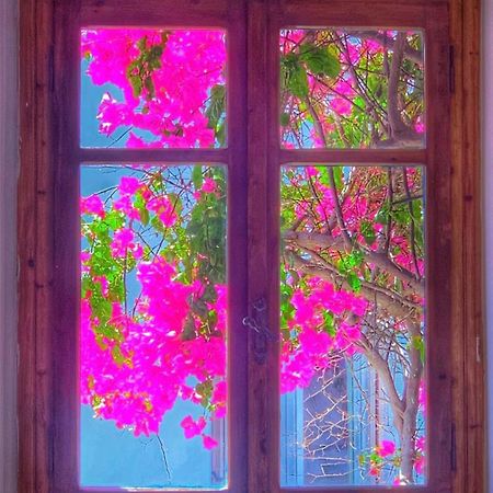 Mare Naxia Hotel Naxos City Екстериор снимка